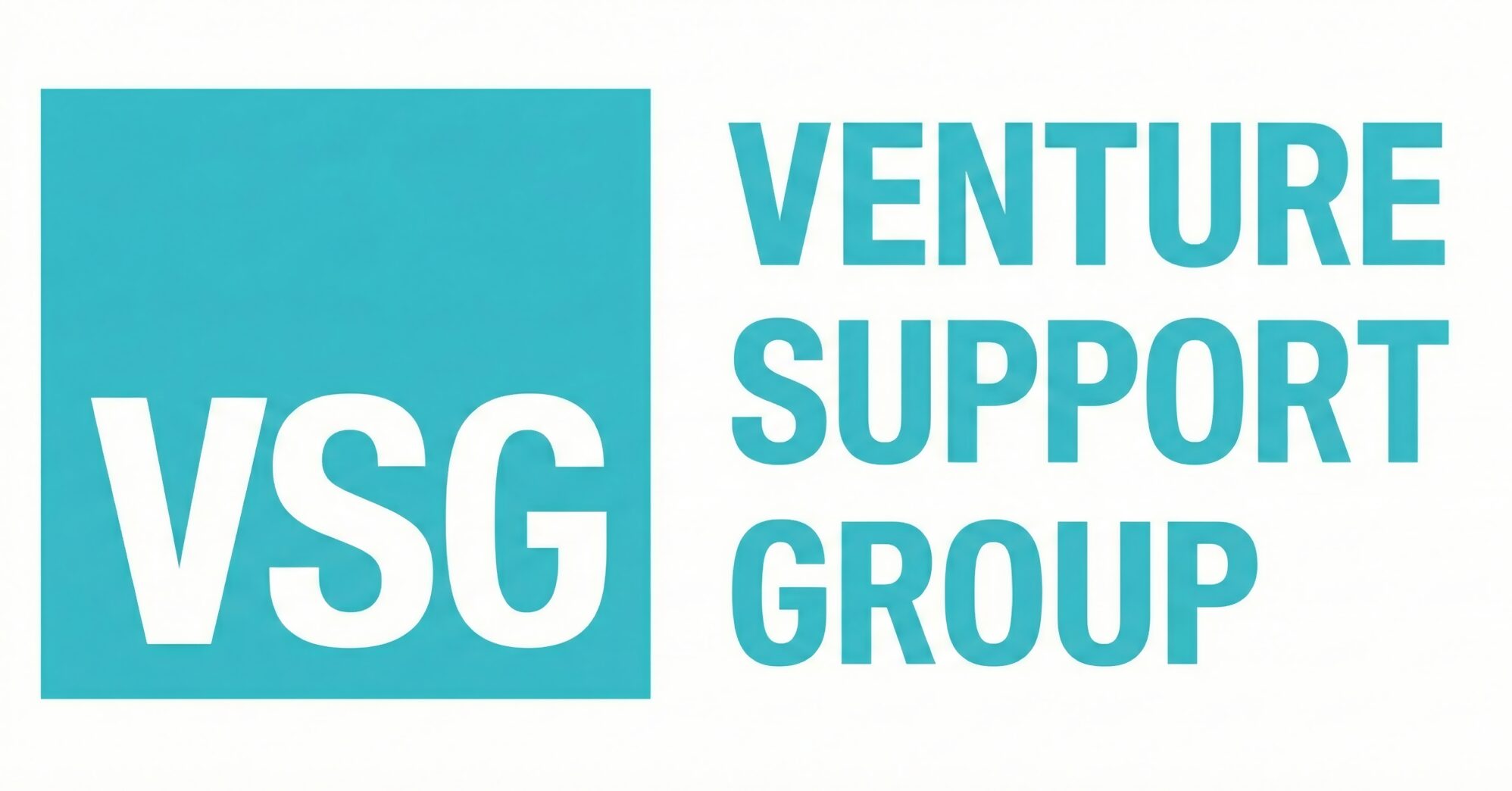 VSG-LOGO